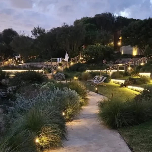 1 Day Peninsula Hot Springs Tour