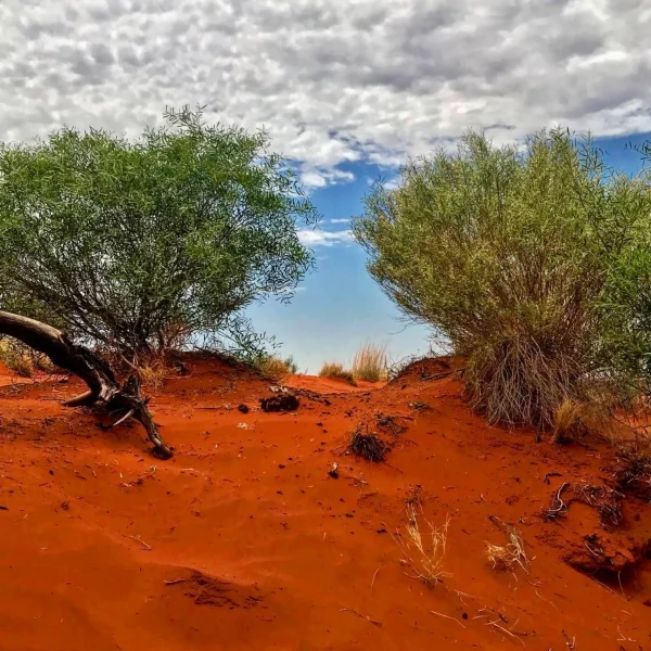 4WD experiences in Uluru