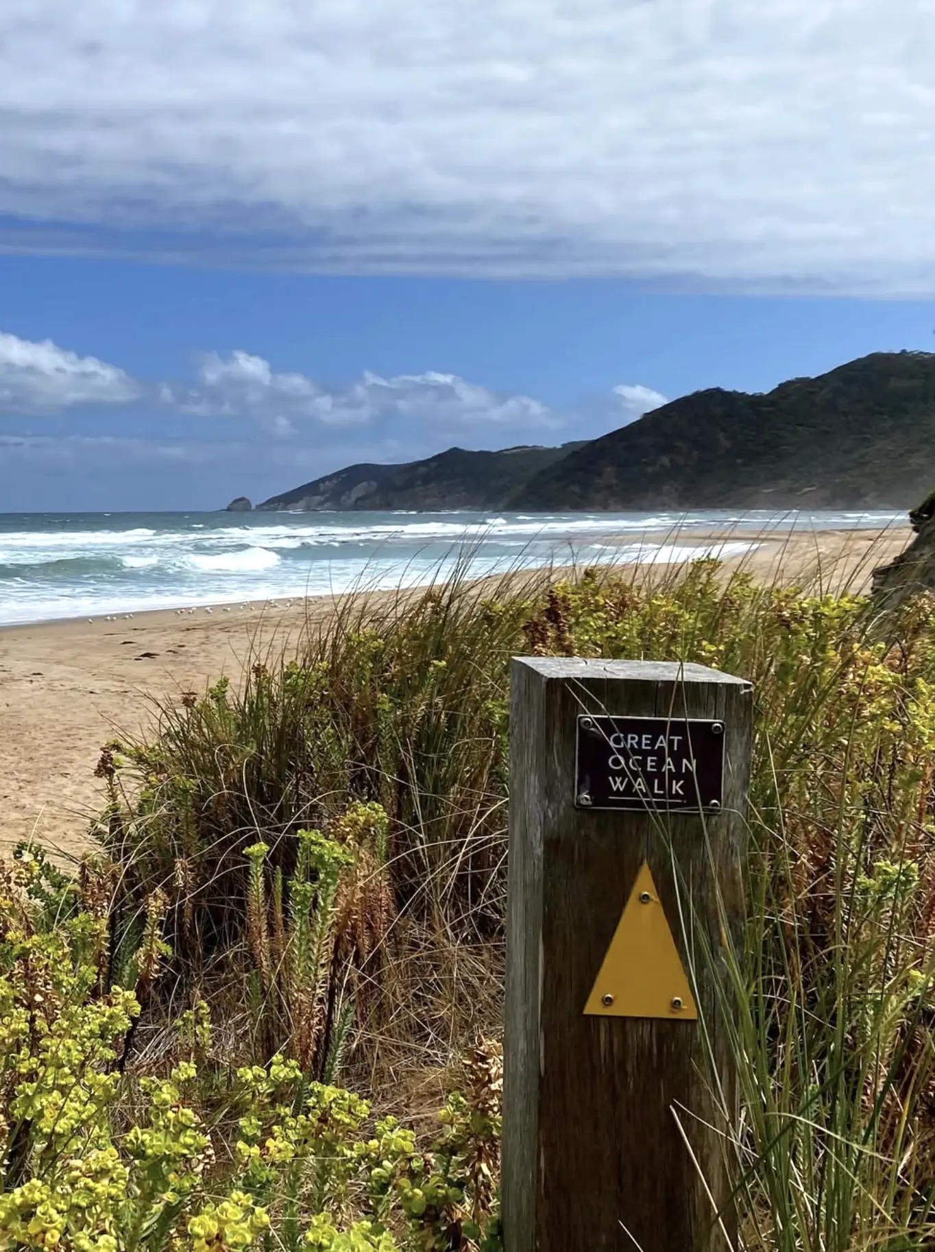 A Short History Of The Trail