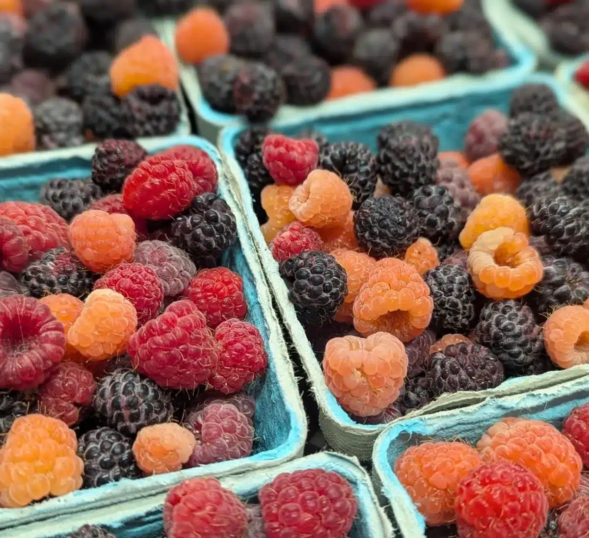 A Sweet Taste Of The Countryside