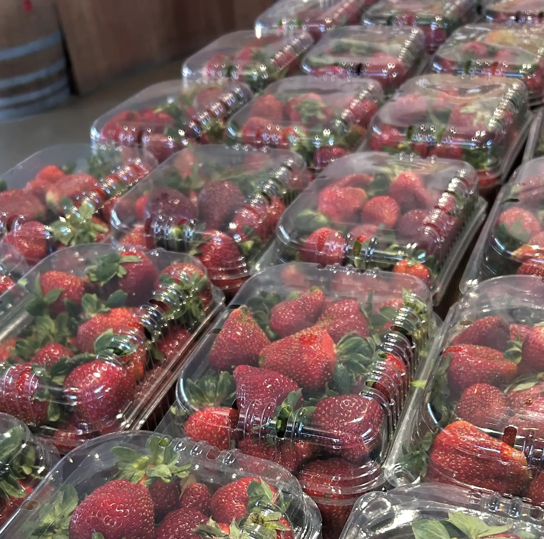 A Tasty Coastal Escape