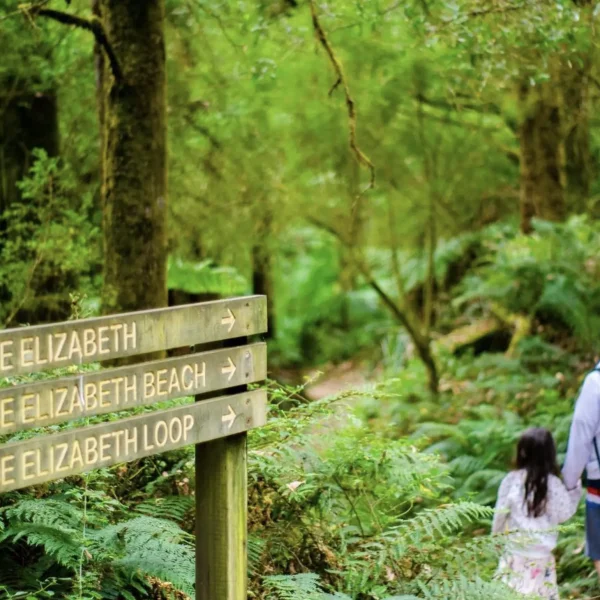 A Walk Through Nature’s Quiet Corners