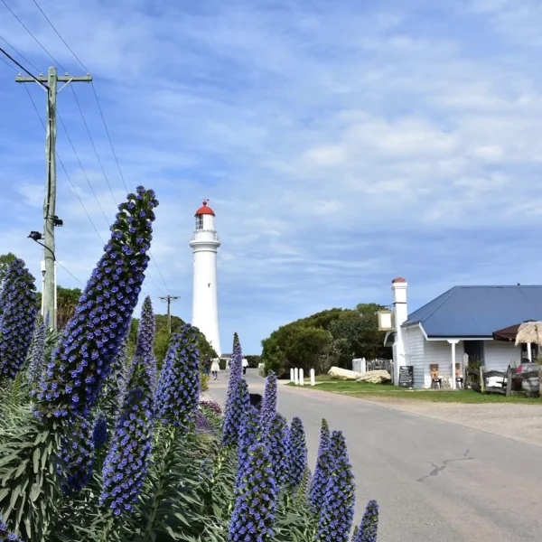 Aireys Inlet