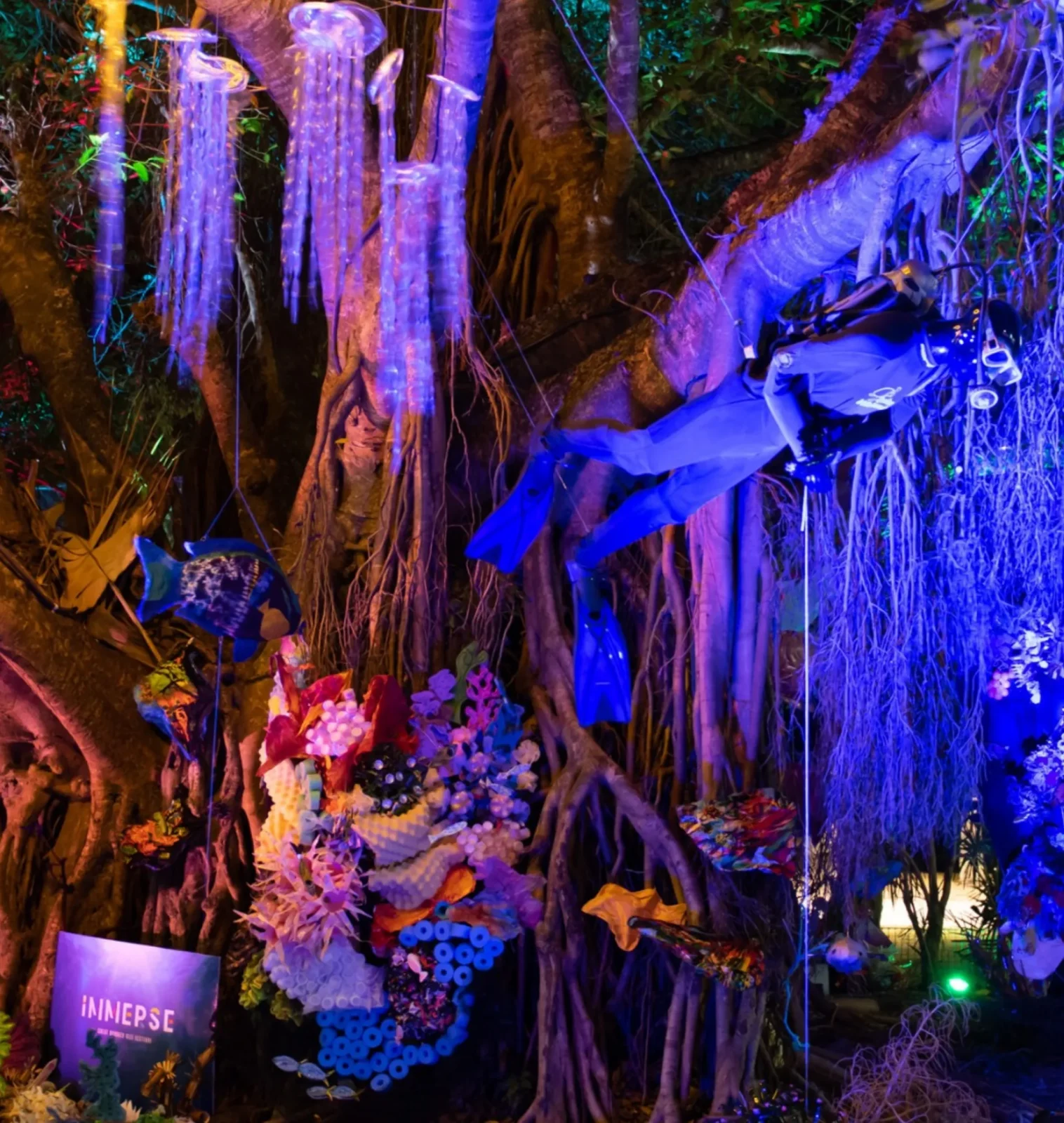 Airlie Beach Reef Festival 2026