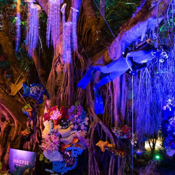 Airlie Beach Reef Festival 2026