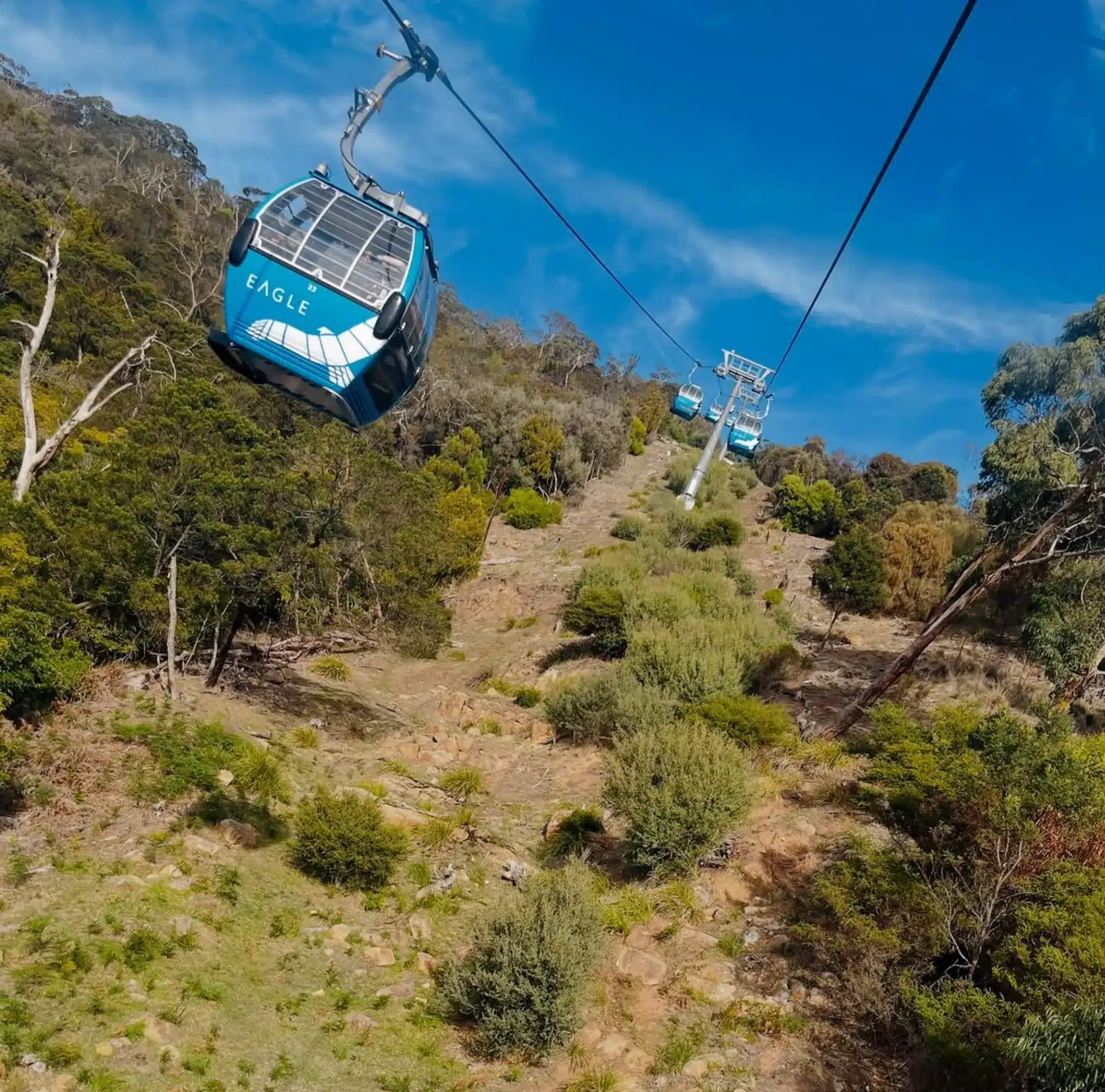 Arthurs Seat Eagle
