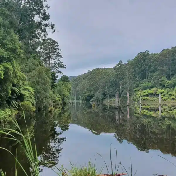 Best Times To Visit — Chasing The Otway Moods