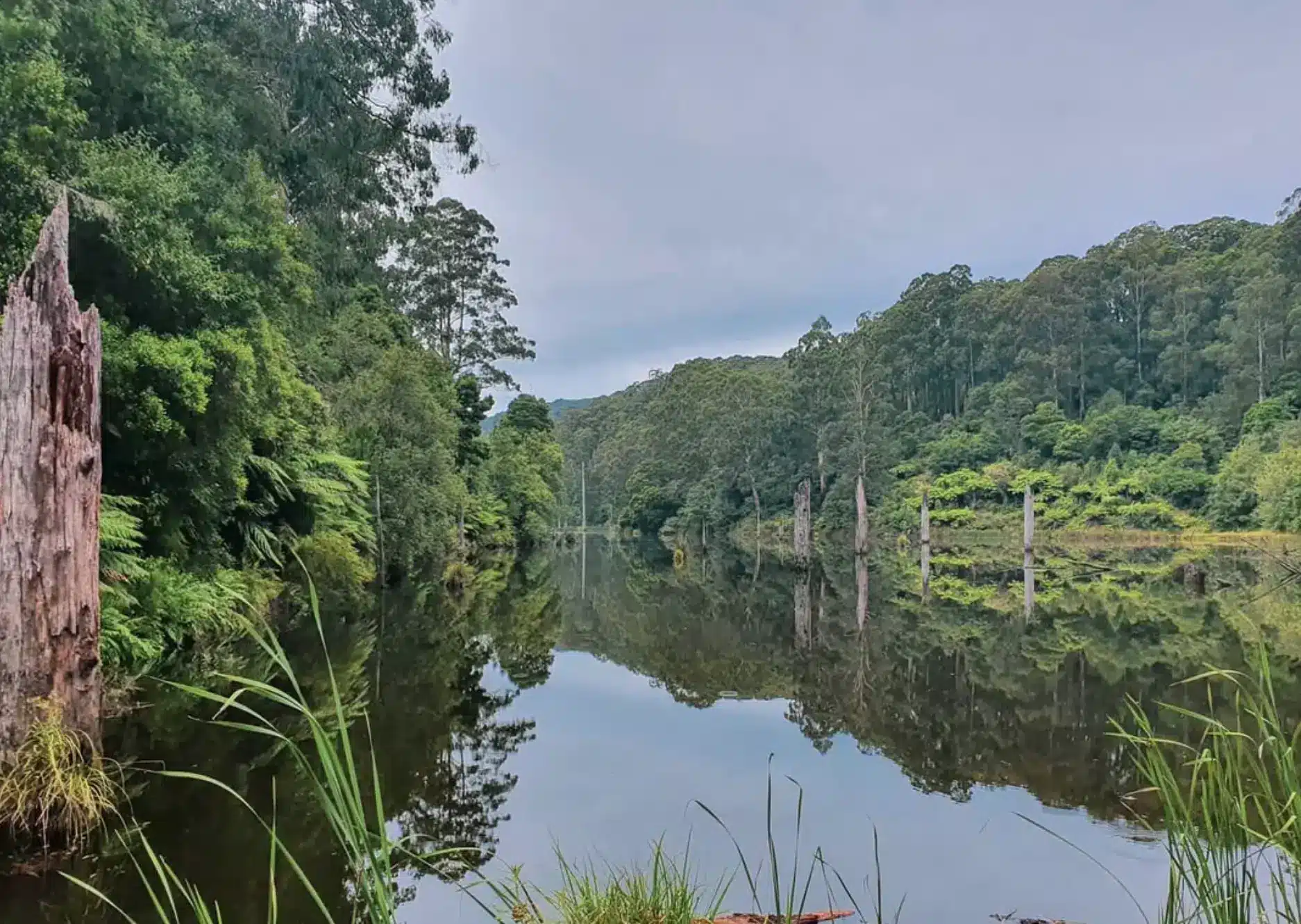 Best Times To Visit — Chasing The Otway Moods