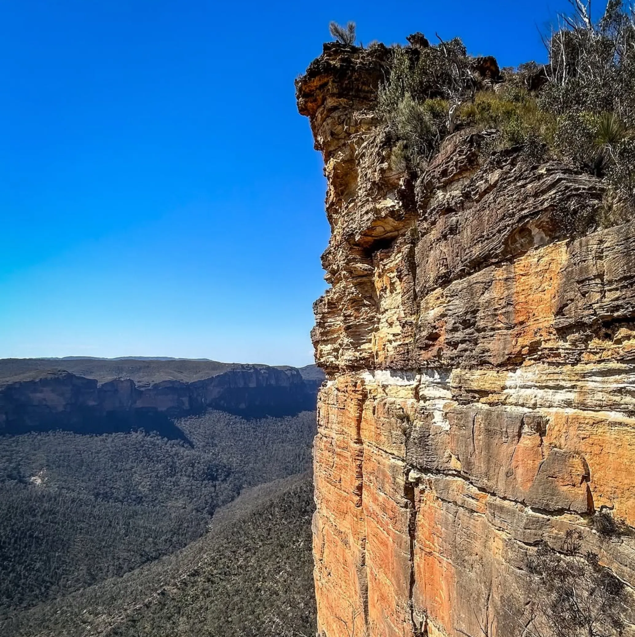 Blue Mountains National Park