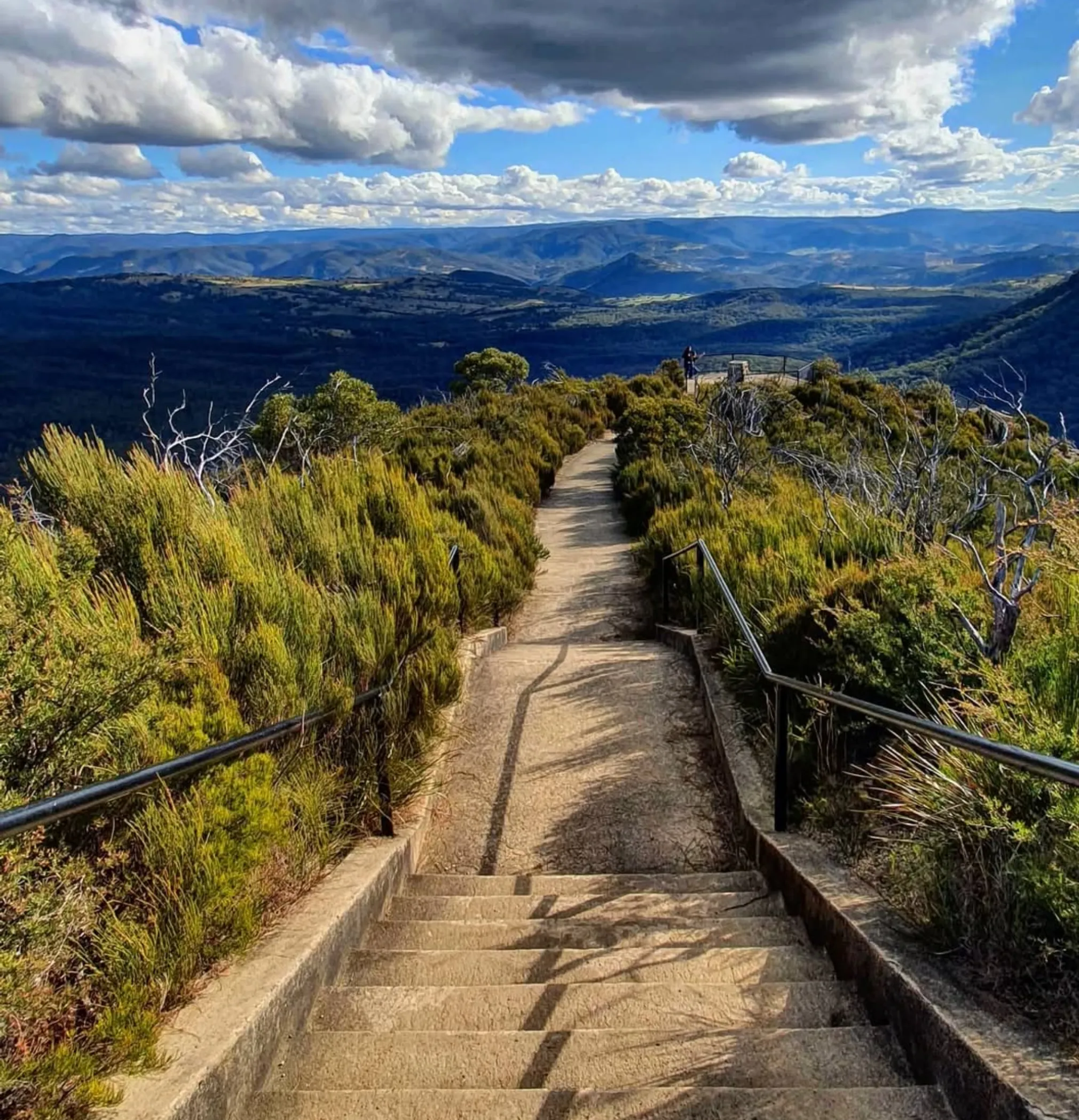 Blue Mountains night safari