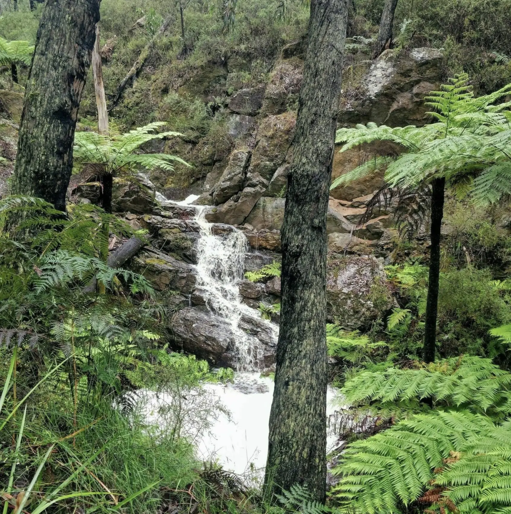 Currawong Falls