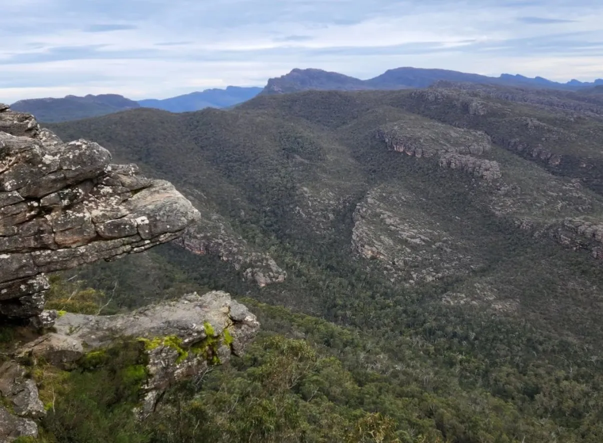 DISCOVER THE PINNACLES