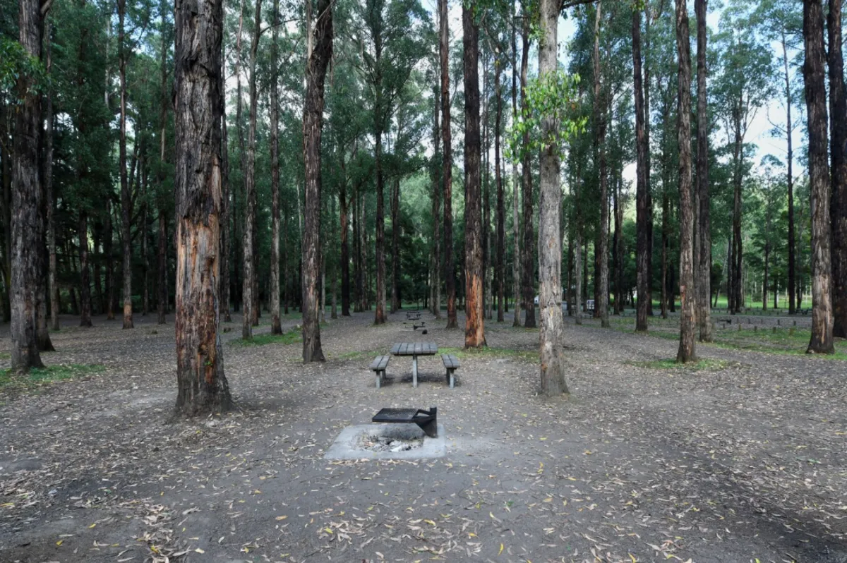 Dandos Campground