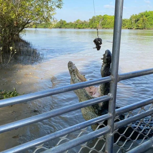 Darwin to Litchfield National Park