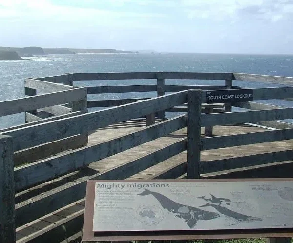 Discover The Blvd From Southpoint to Summerlands Lookout​