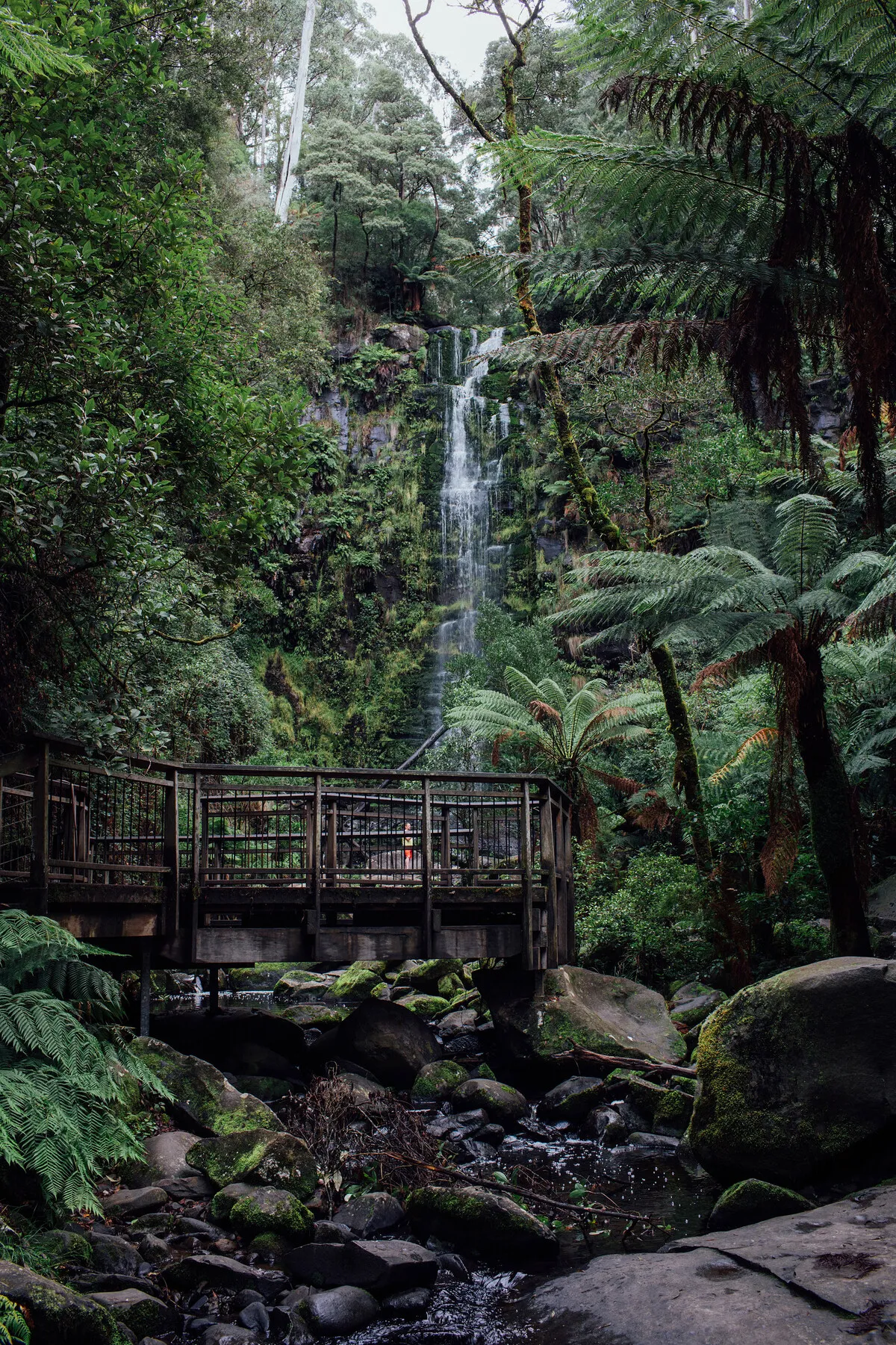 Erskine Falls