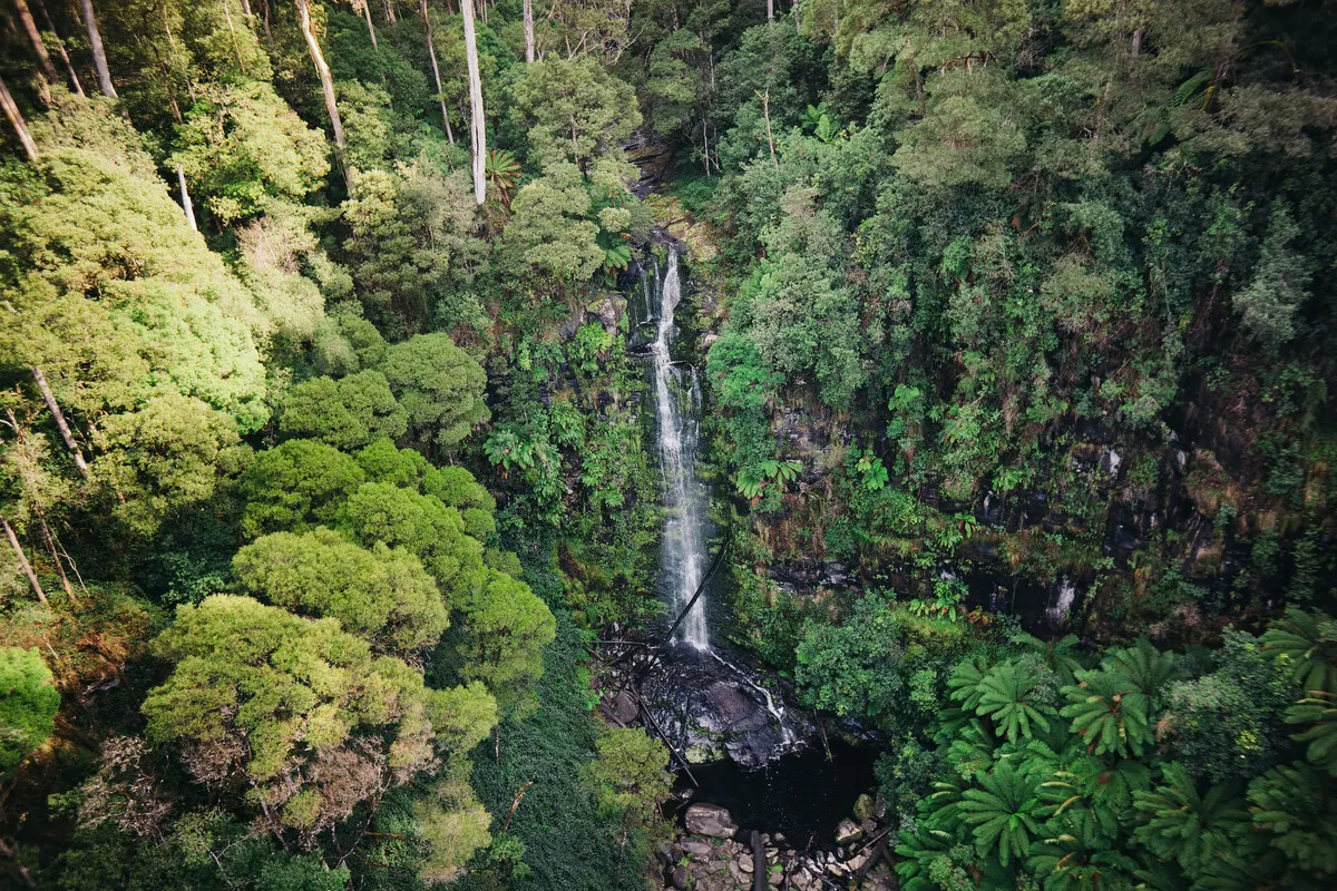 Erskine River Trail