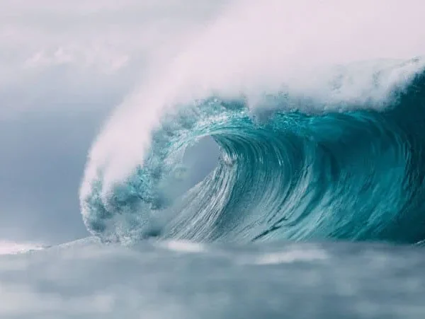 Experience “The Big Wave” Adventure​
