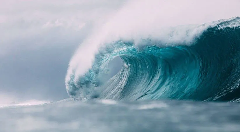Experience “The Big Wave” Adventure​