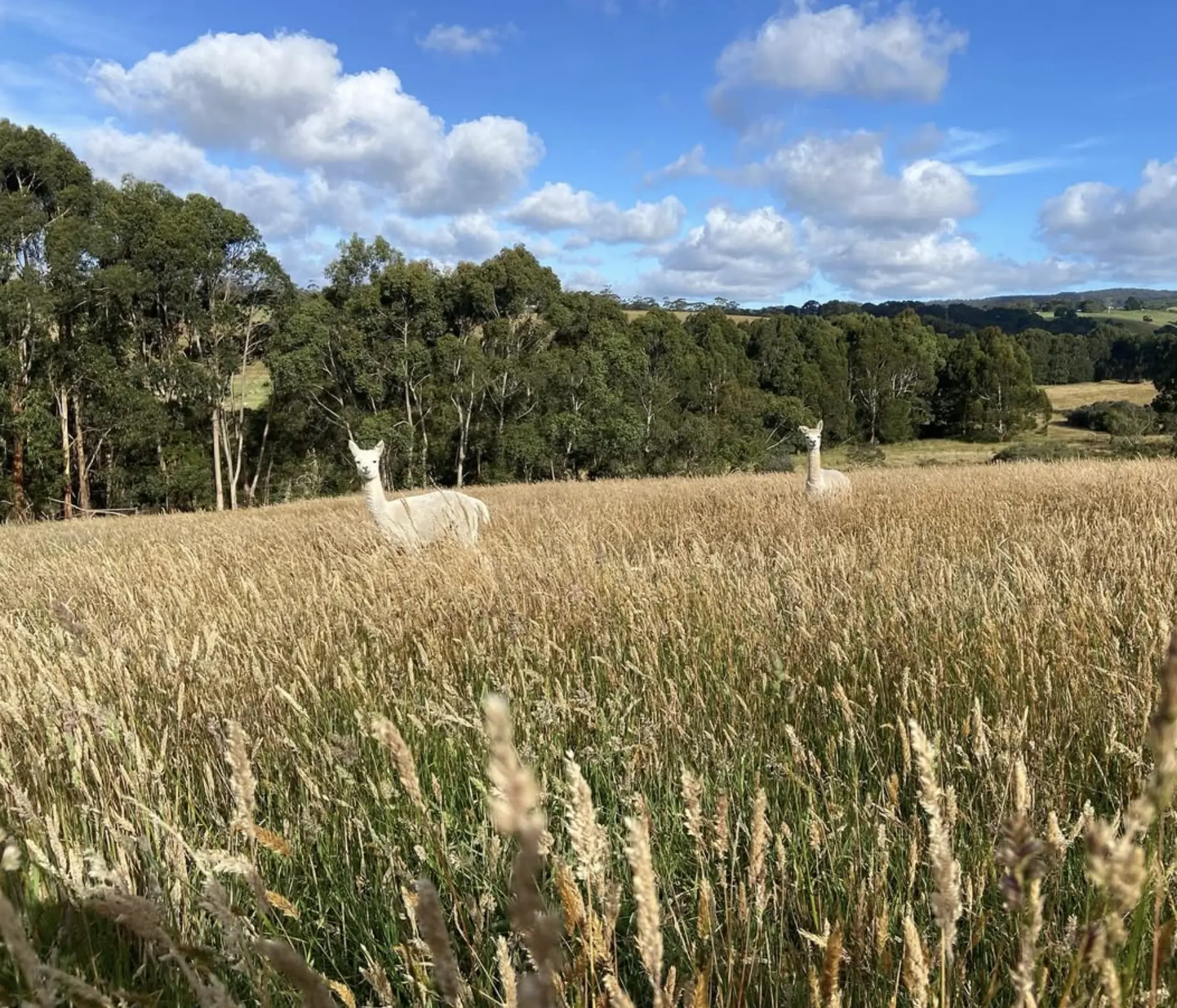 Farm Visit Tips From The Road