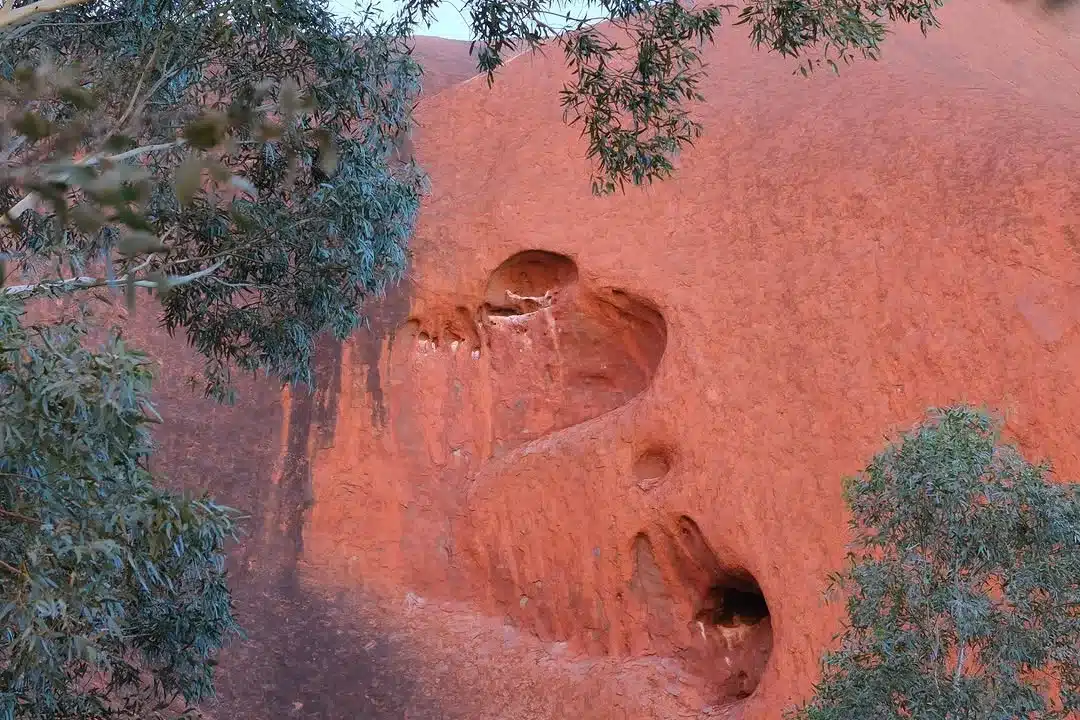 Good Guides in Uluru
