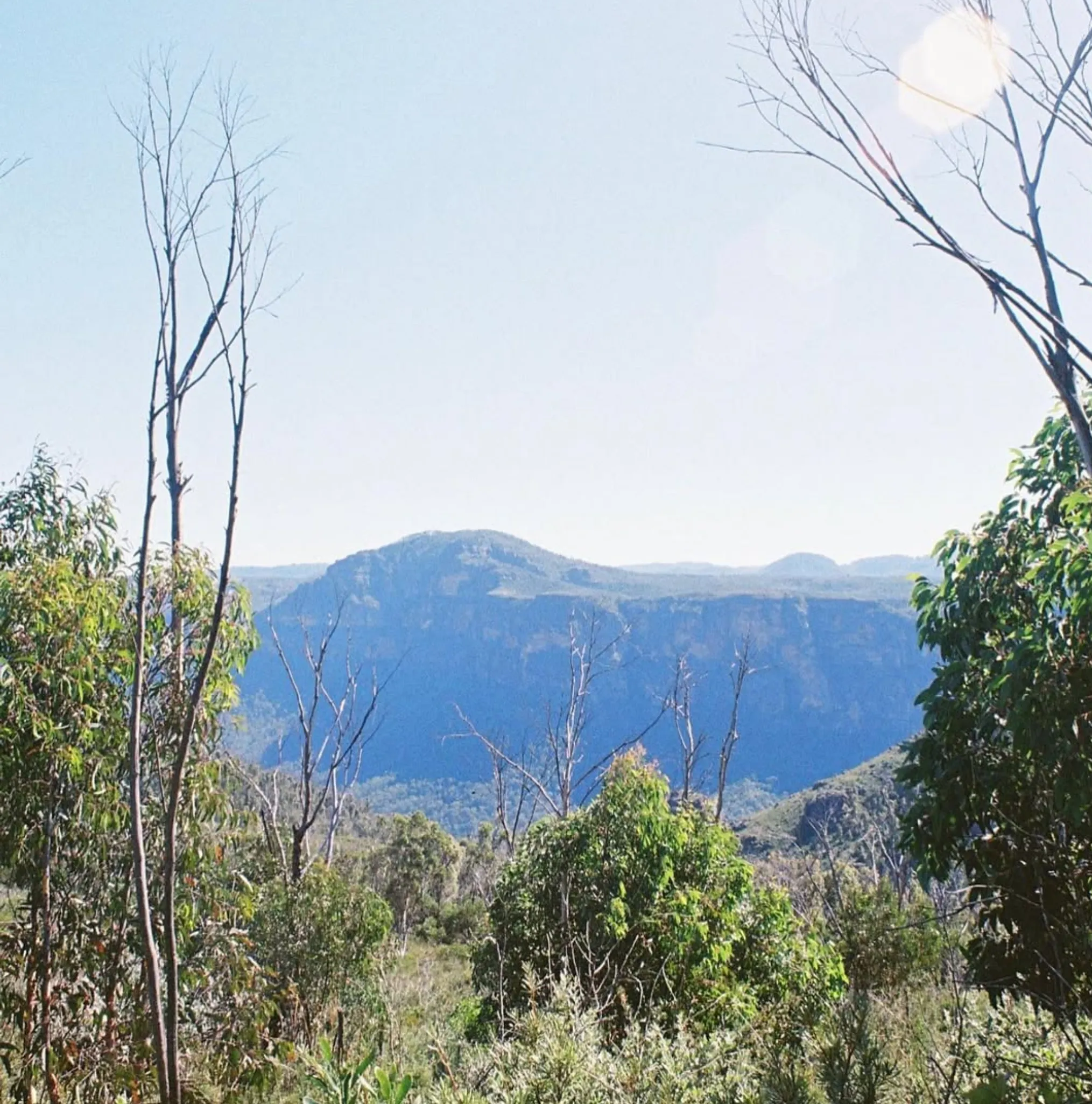 Grose Wilderness In The Blue Mountains