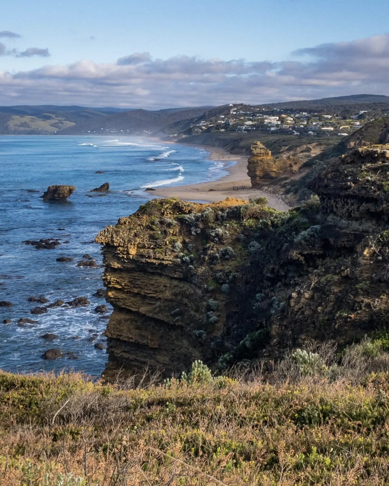 History — Rooted In Sea And Story