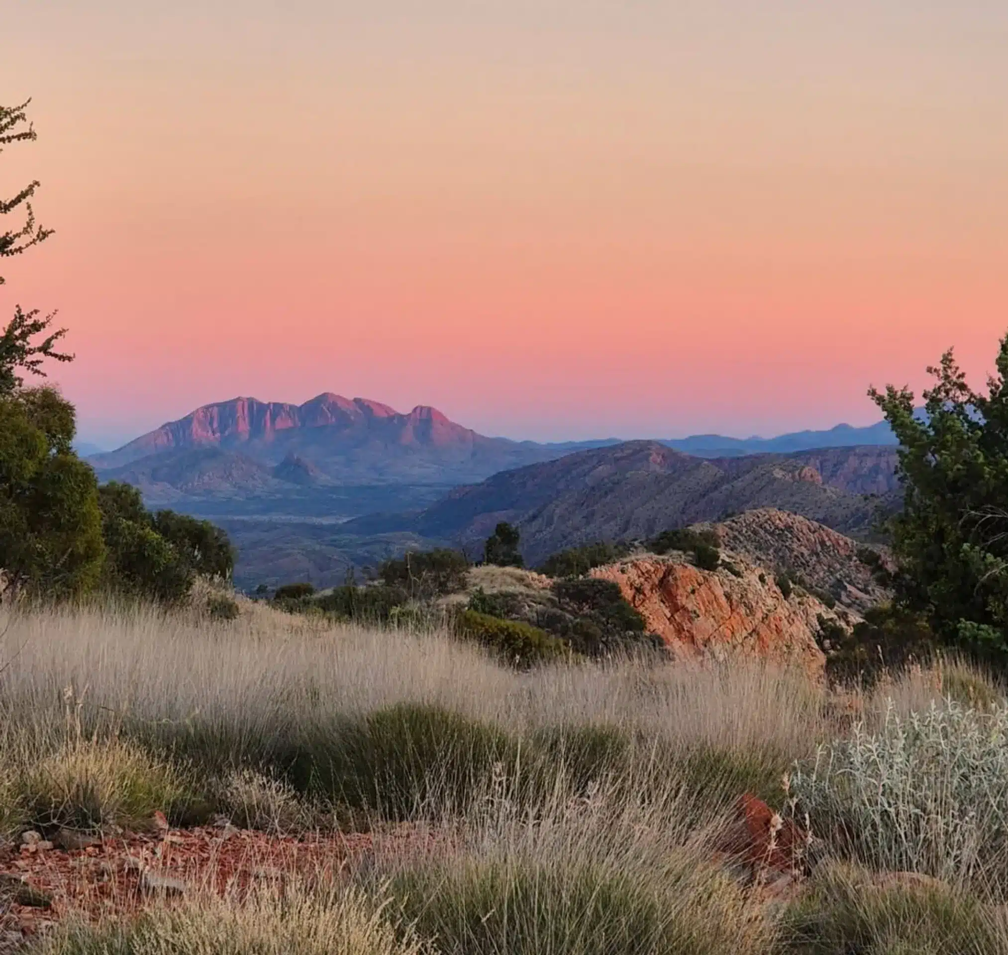 Holiday Departures in the Larapinta