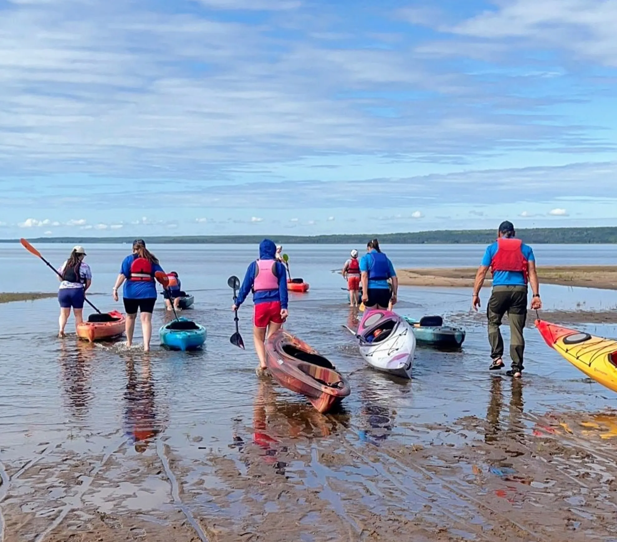 Indigenous guided tours Daintree Rainforest