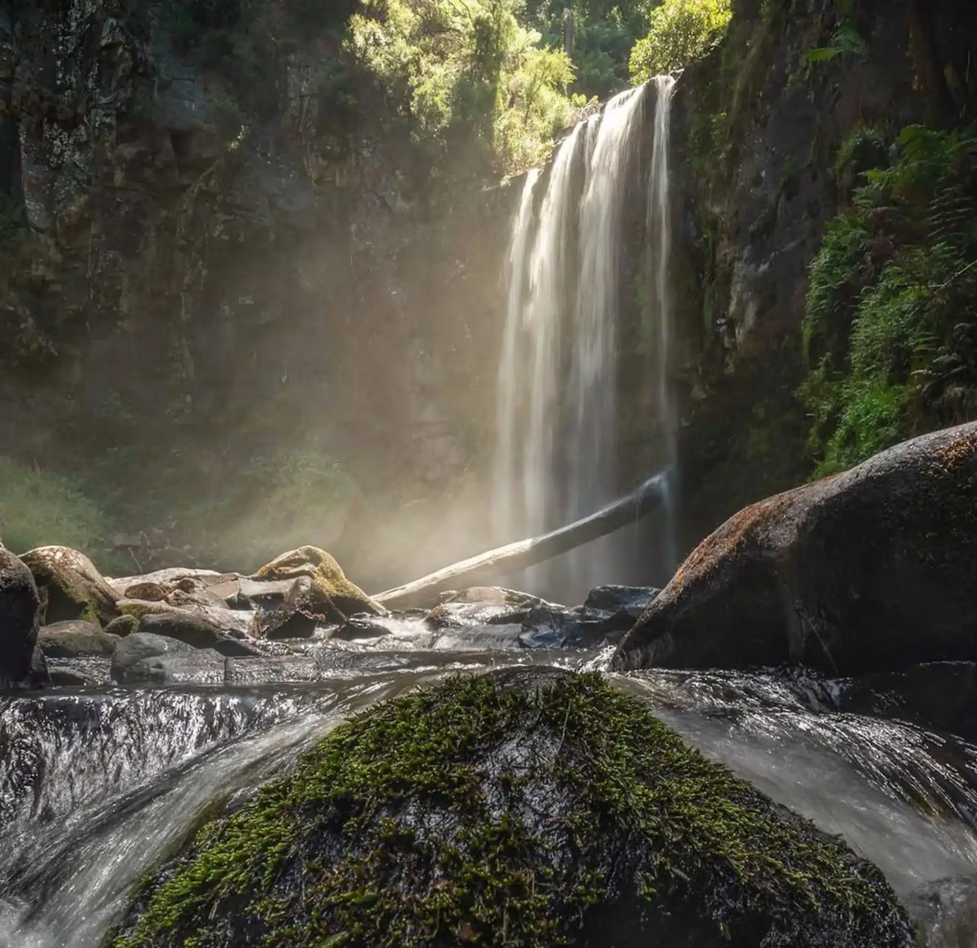 Inland Otways And Waterfall Country