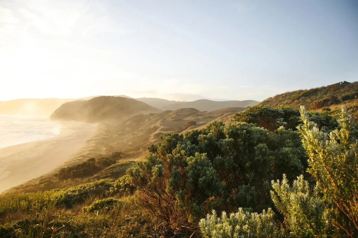 Johanna Beach