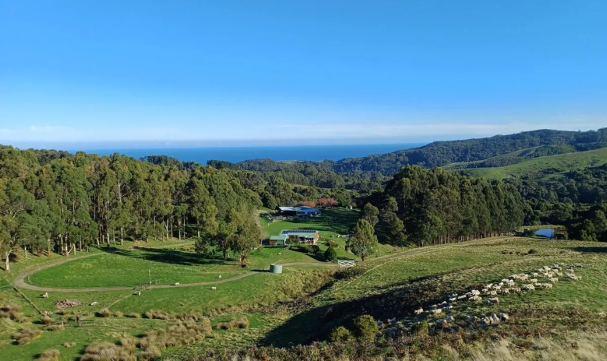 Johanna River Farm and Cottages