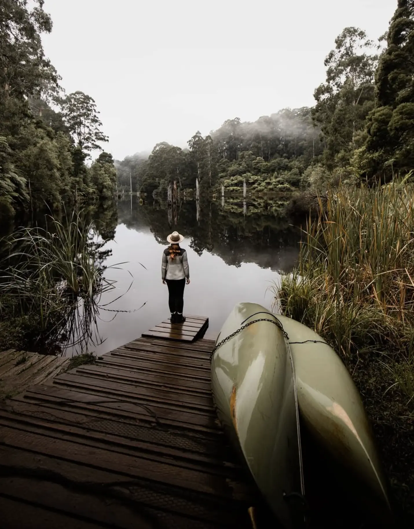 Journey Into the Heart of the Otways