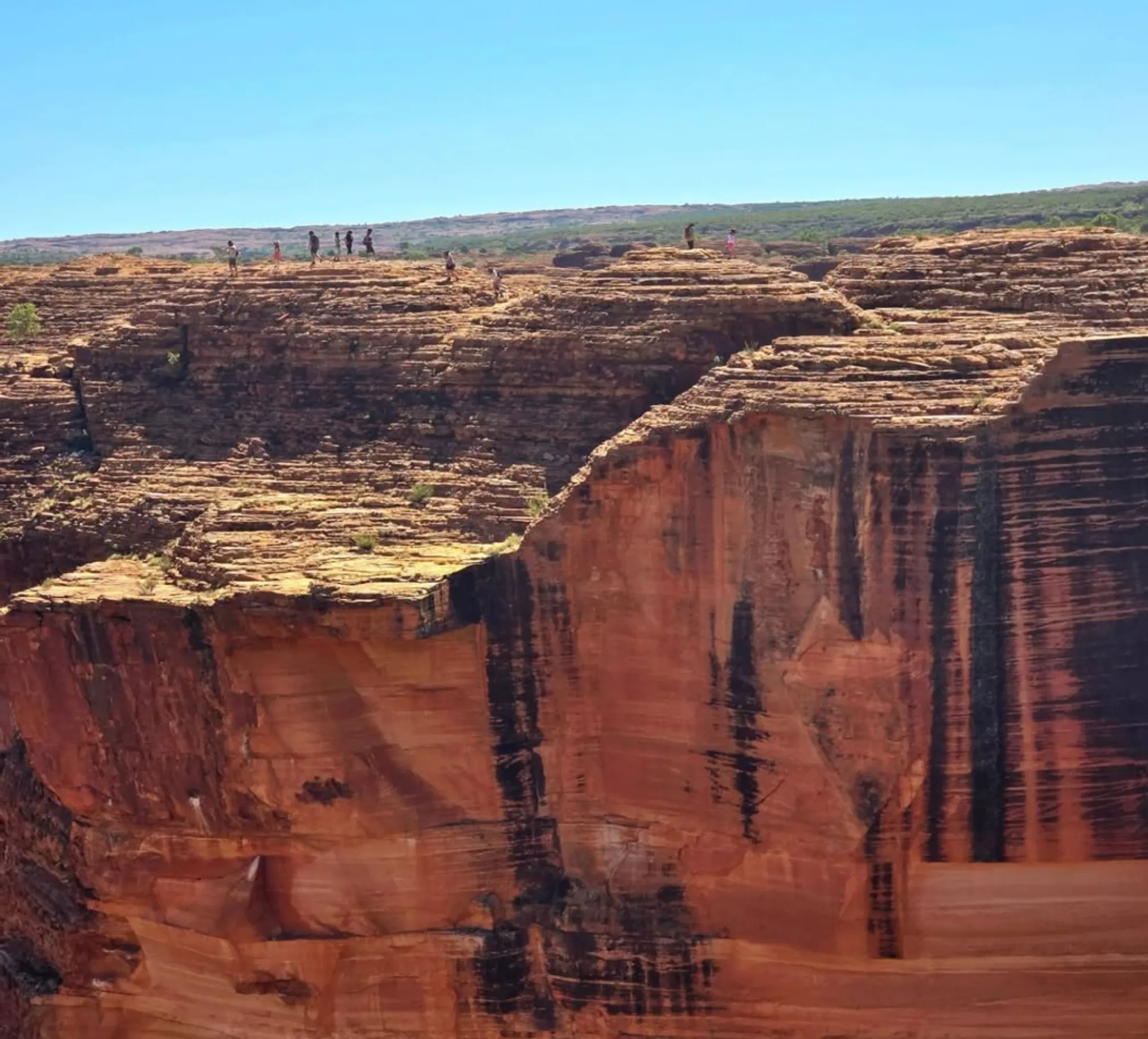 Kings Canyon Rim Walk
