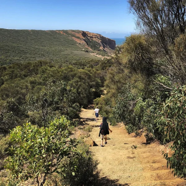 Koorie Cultural Walk