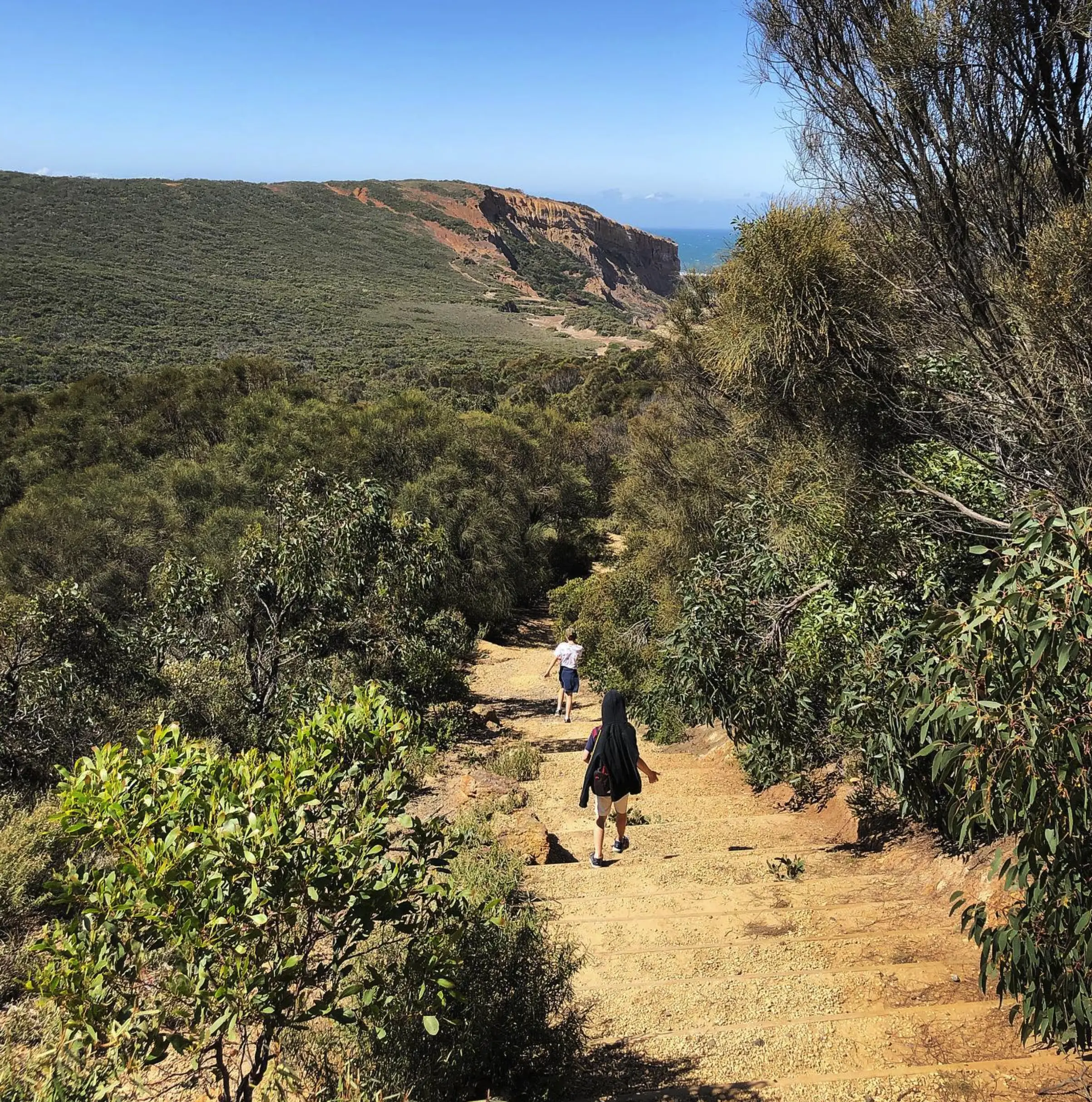 Koorie Cultural Walk