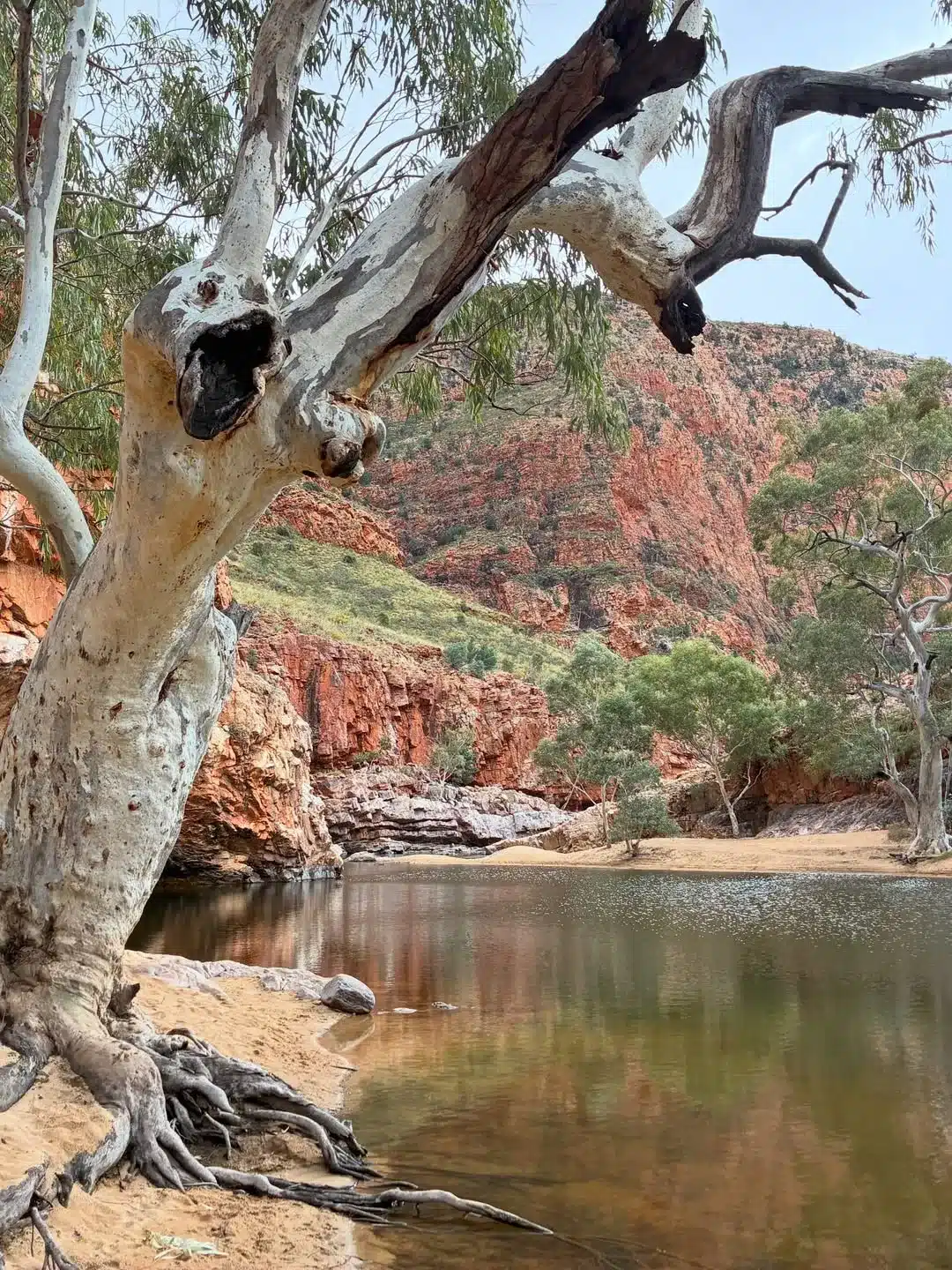Larapinta Trail shoulder season hiking