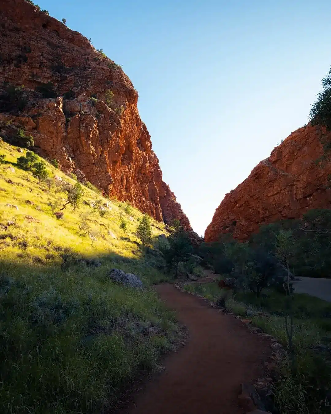 Larapinta Trail tour cost 2026