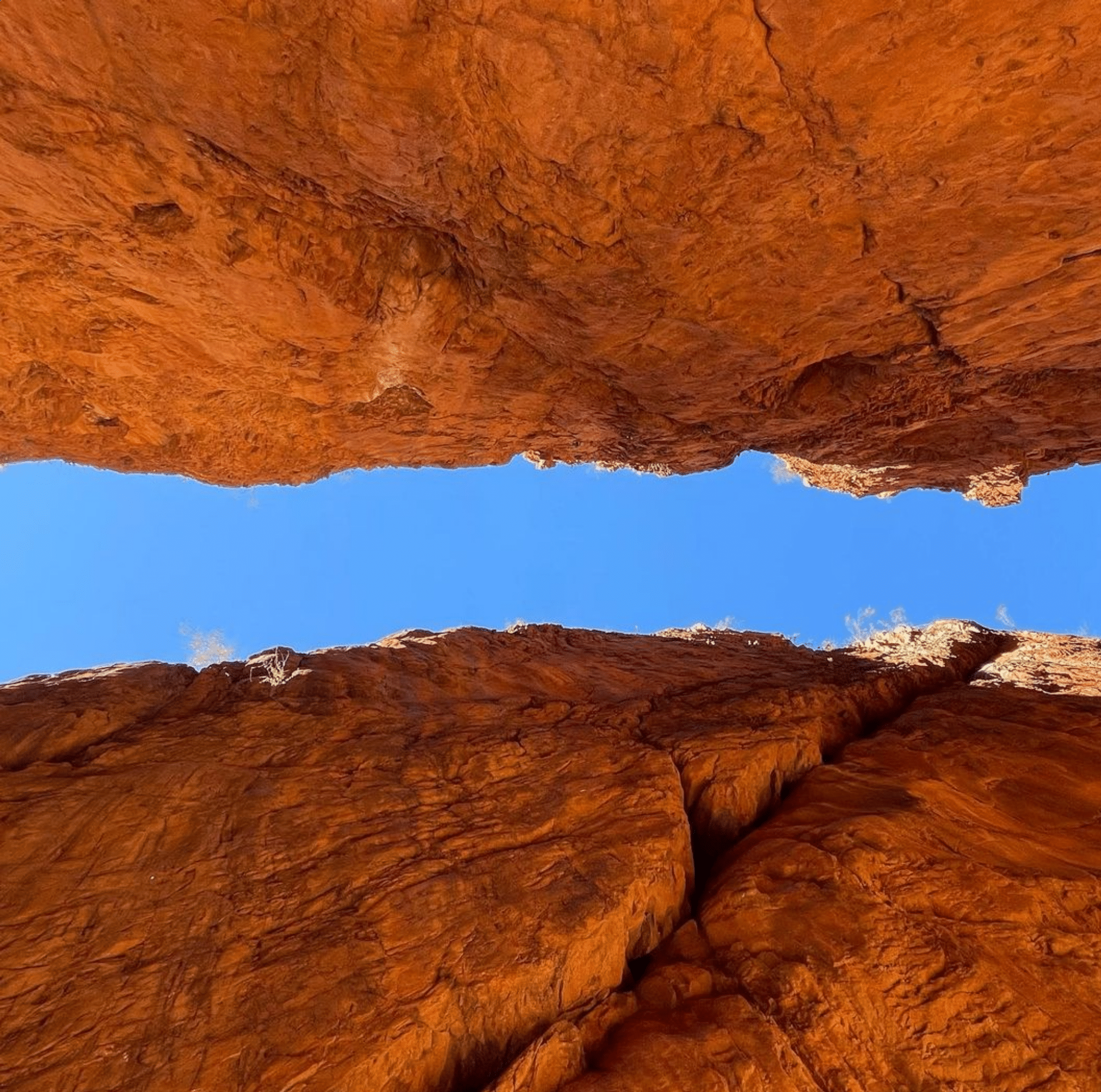 Larapinta holidays