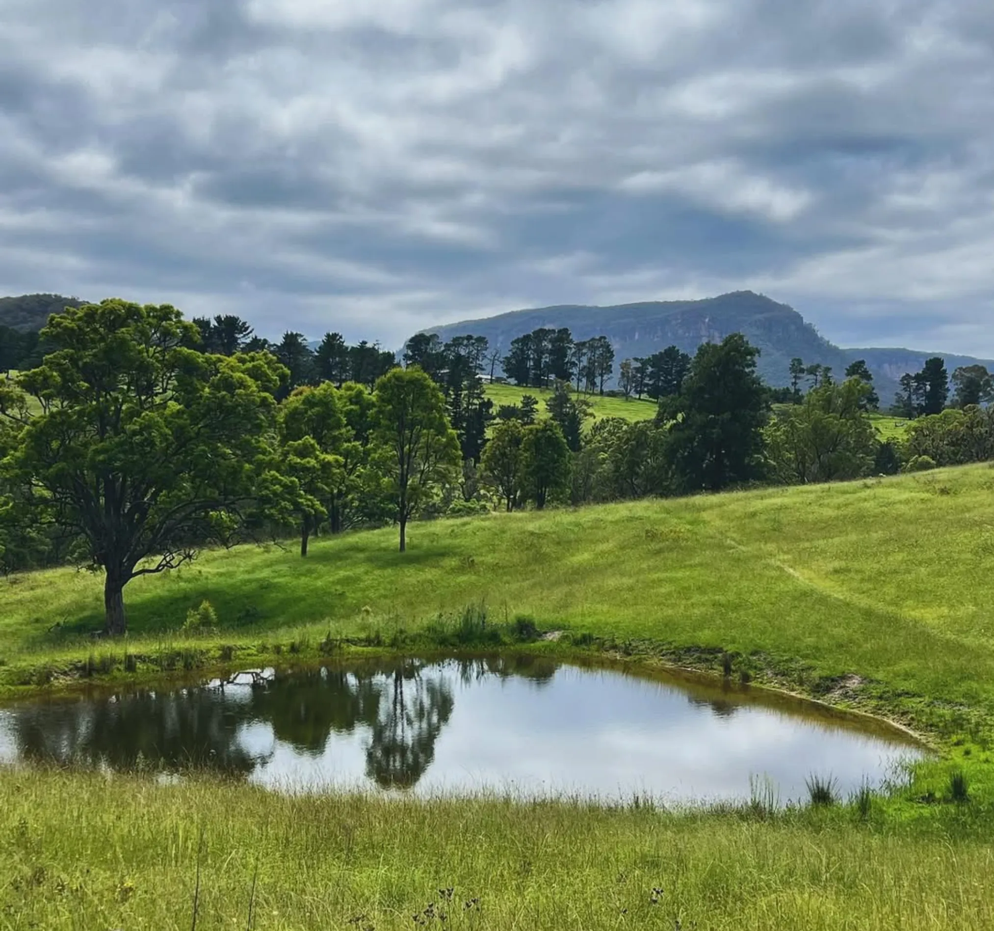 Megalong Valley in the Blue Mountains National Park