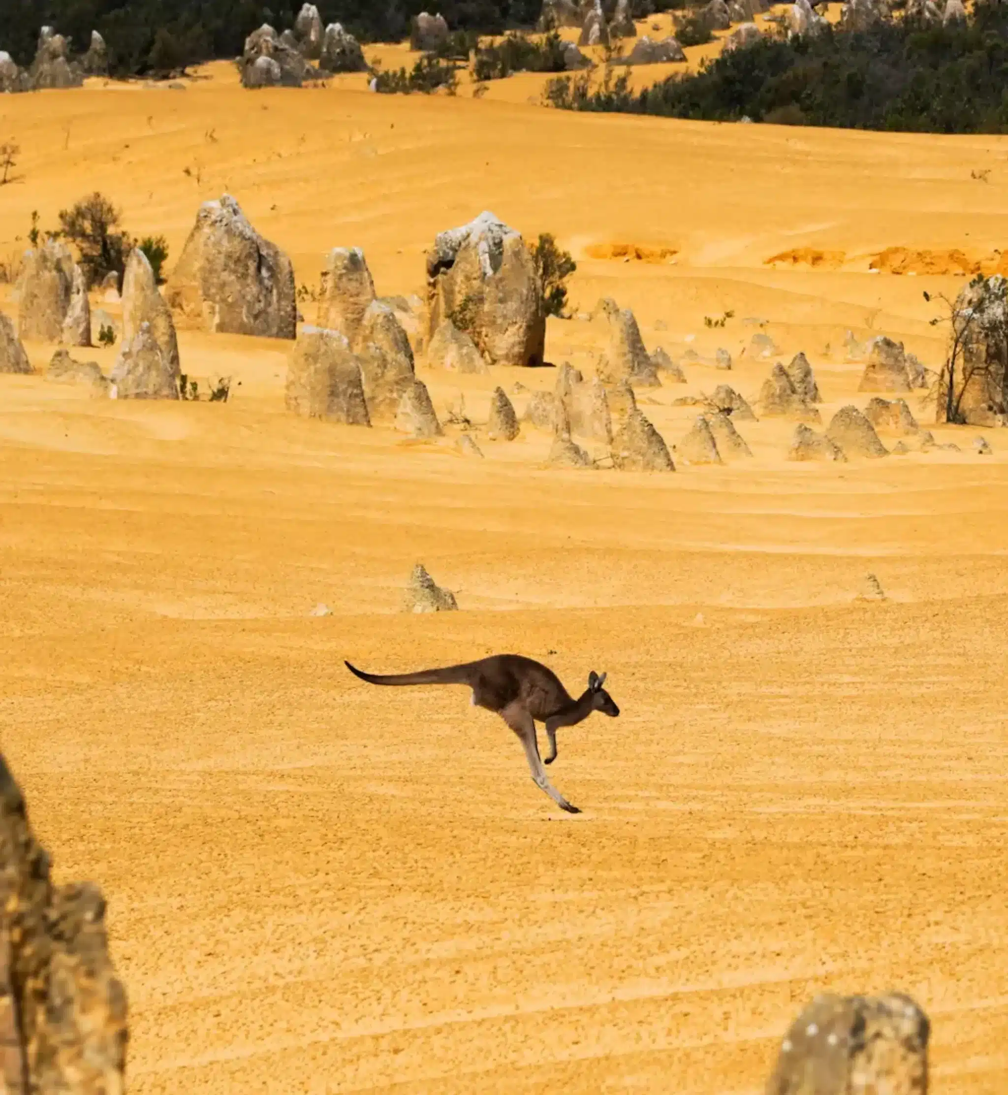 Nambung National Park