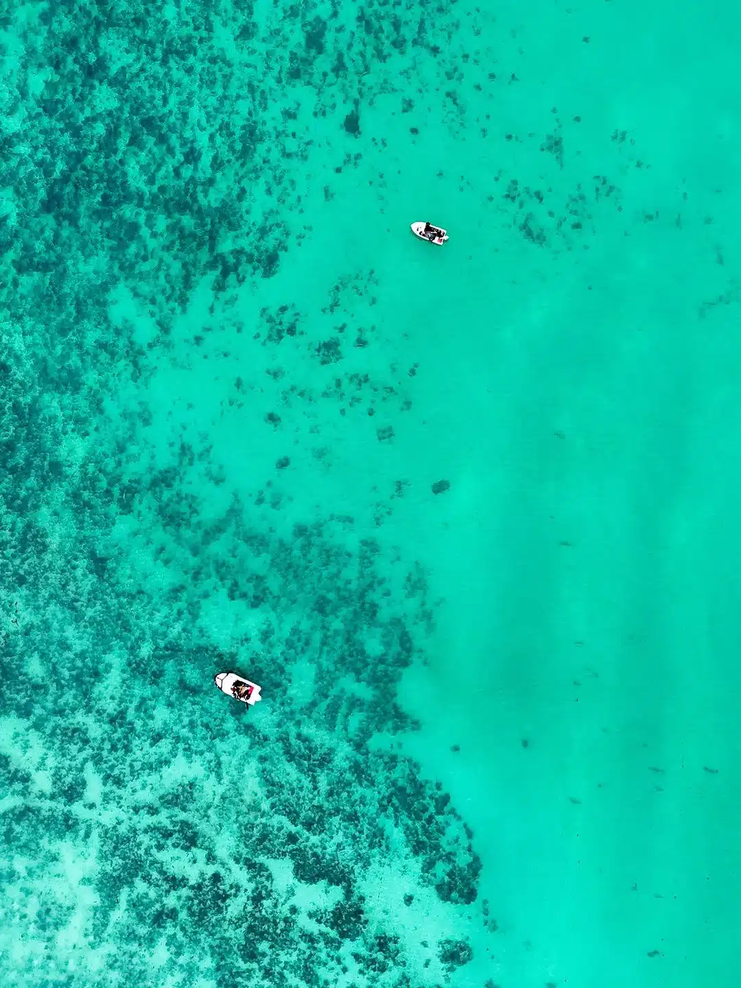Ningaloo Reef vs Great Barrier Reef 2026