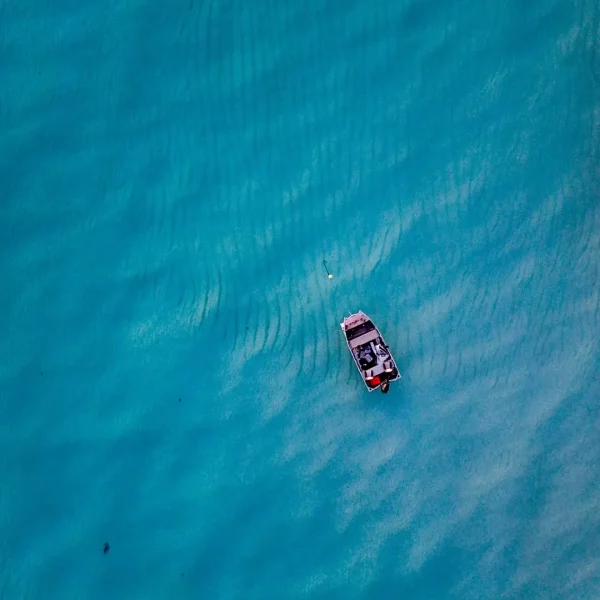 Ningaloo Reef vs Great Barrier Reef wildlife