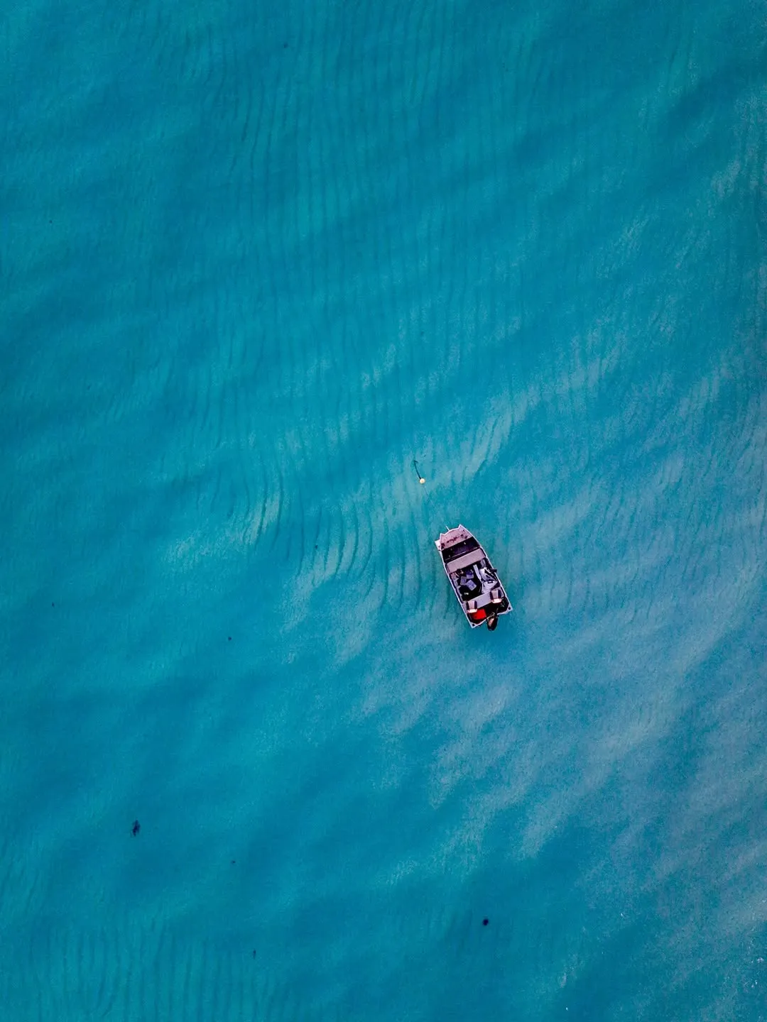 Ningaloo Reef vs Great Barrier Reef wildlife
