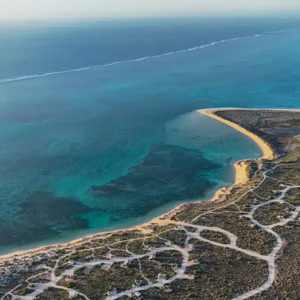 Ningaloo coral life