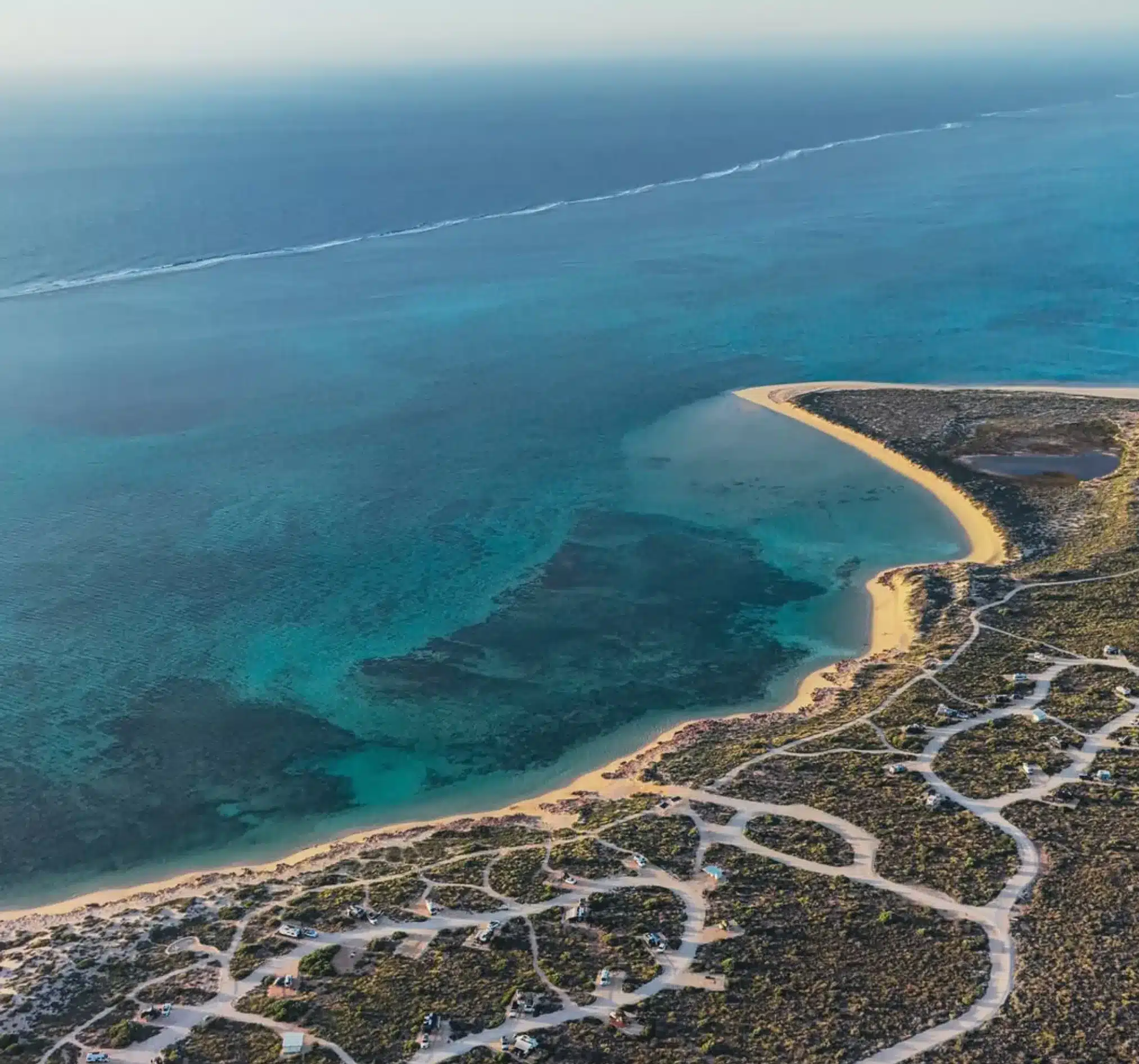 Ningaloo coral life