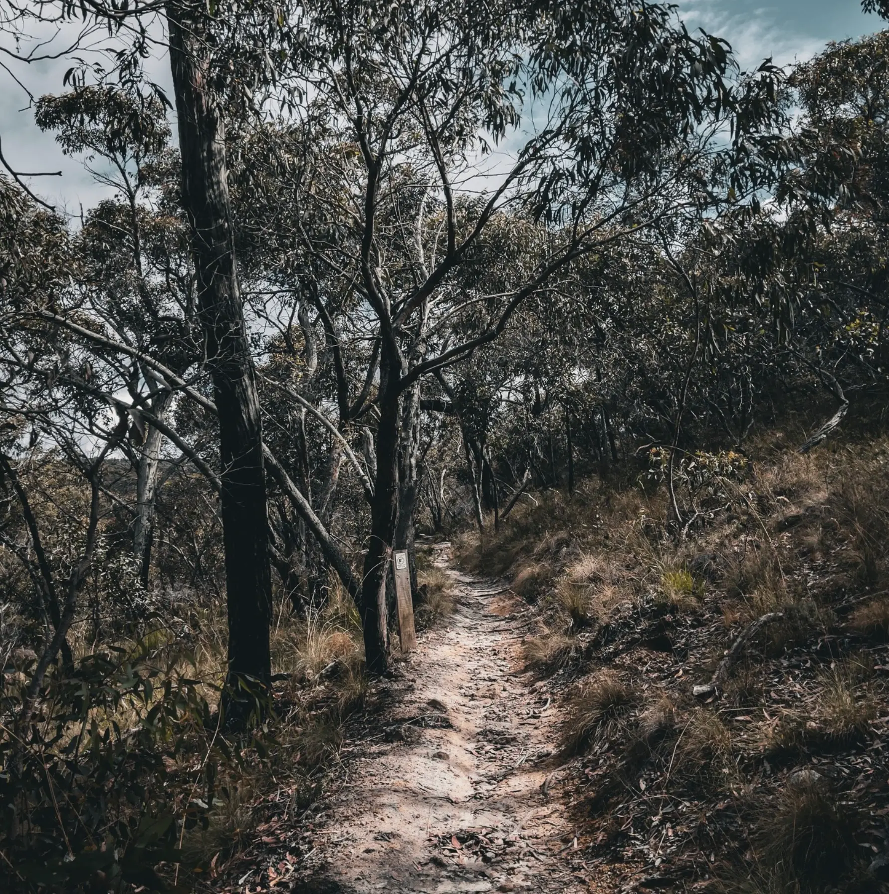 Outdoor And Adventure