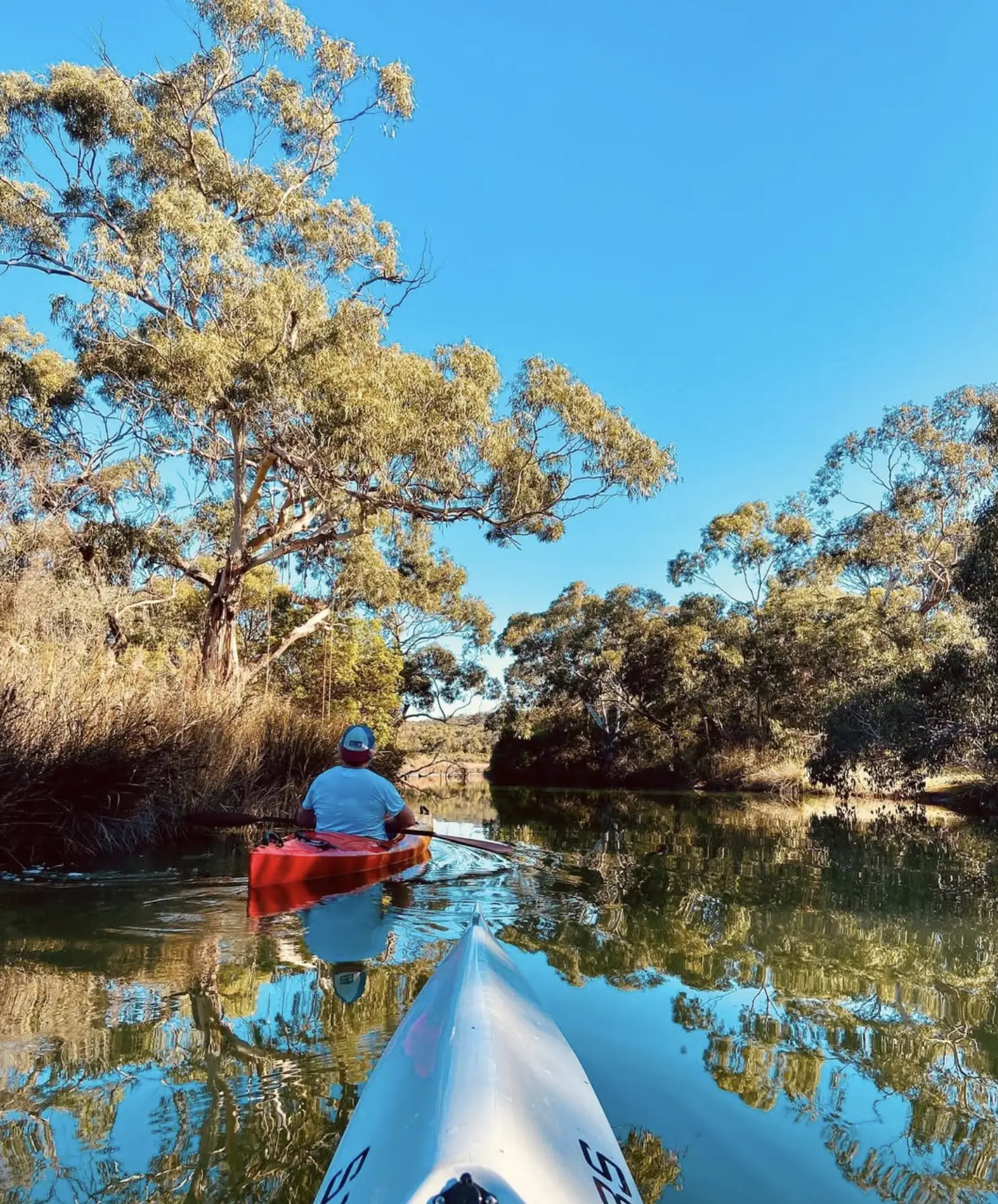 Paddle Hire Available Nearby
