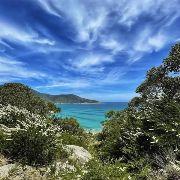 Parks Victoria’s Marine National Parks