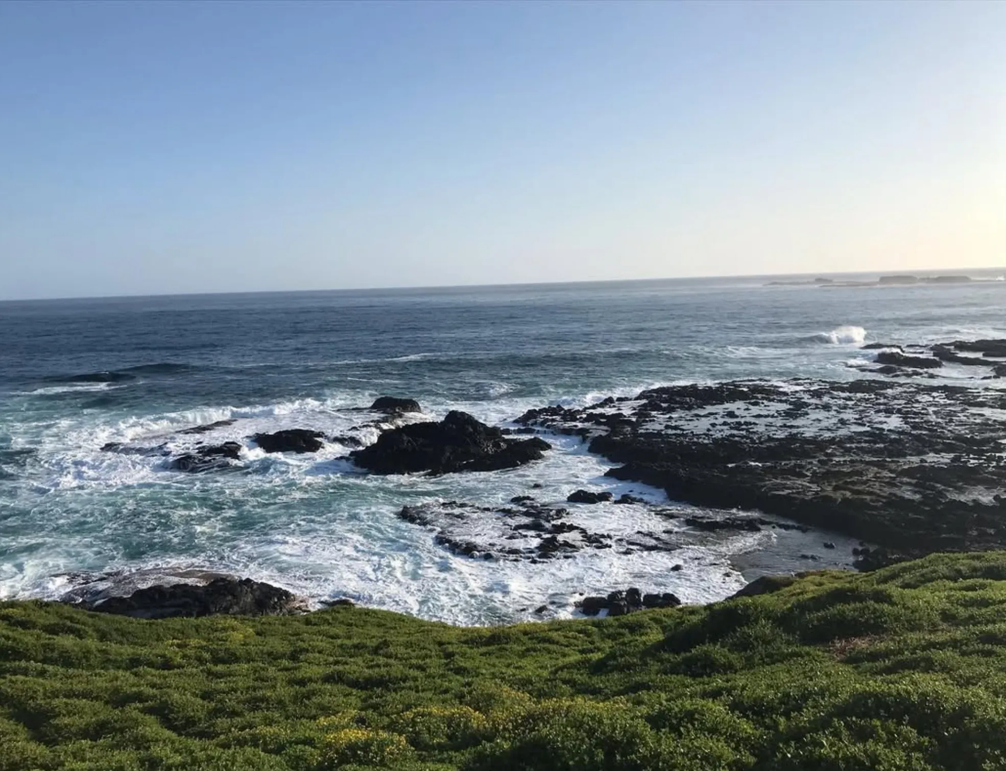 Phillip Island wedding